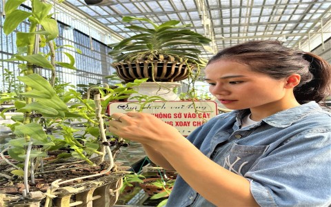 Trải lòng của cô giáo Tạ Thị Quyên về triển vọng ngành hoa lan sau đại dịch COVID19