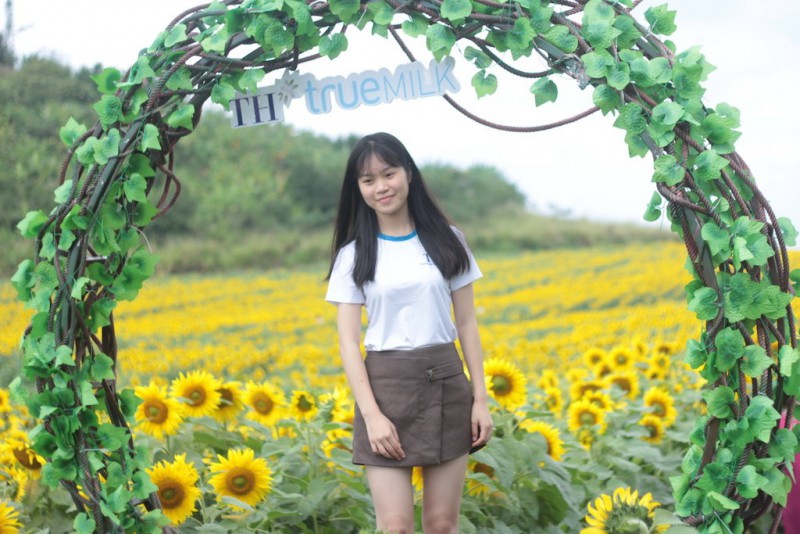Văn hoá - Chiêm ngưỡng cánh đồng hoa hướng dương lớn nhất Việt Nam khiến du khách ngẩn ngơ (Hình 9).