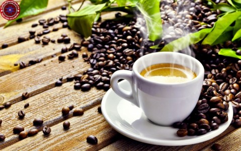 Giá cà phê hôm nay 15/9: Giảm mạnh đột ngột tới 800 đồng/kg