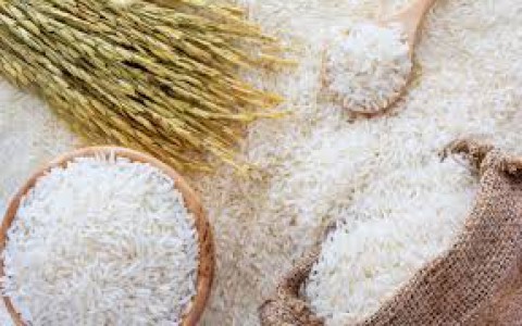 Giá lúa gạo hôm nay ngày 15/11: Cuối tuần, giá lúa gạo đi ngang